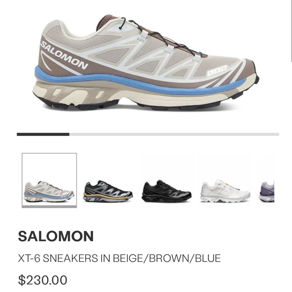 Salomon XT-6 in Beige/Brown/Blue